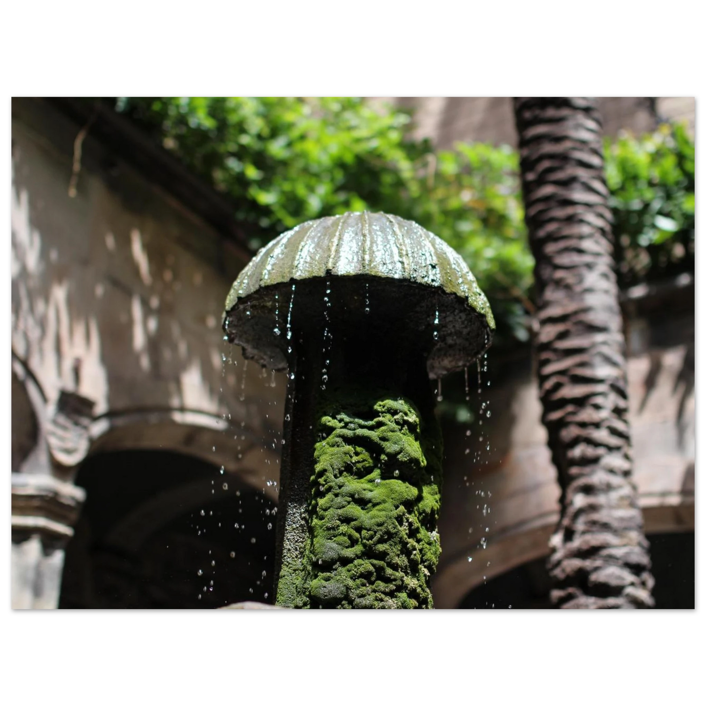 e09fe574-a52b-4536-9e7f-3a2f3414bcfb