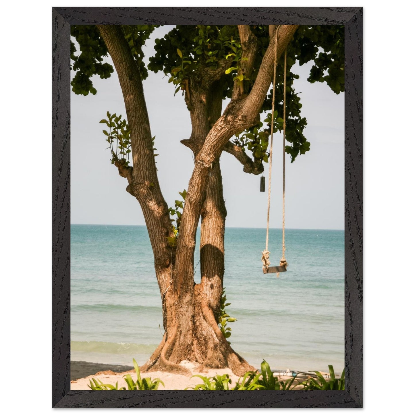 e24a8b48-f588-47ba-a930-08766d9ee964