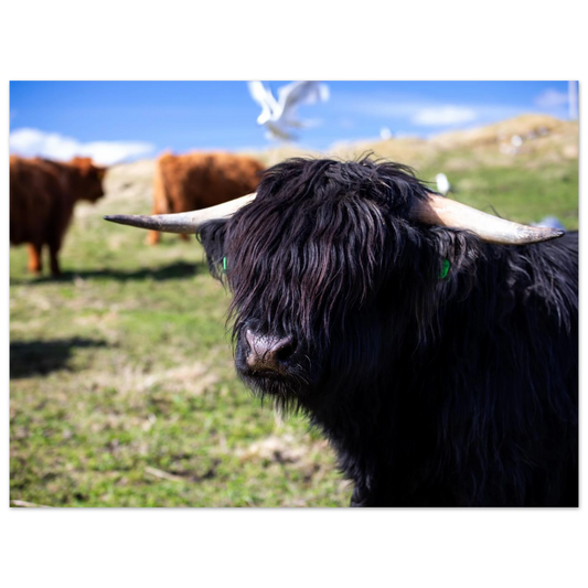 e4142ded-0433-4ad0-b3bb-36f0732d6225