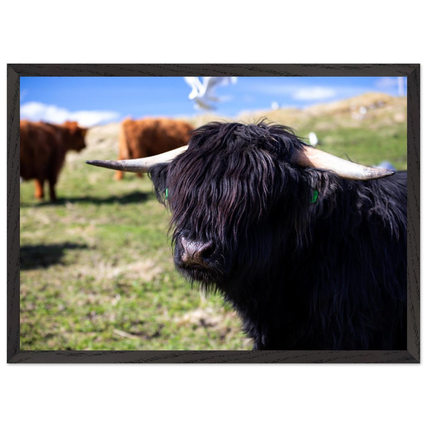 e4255b68-66ea-4532-8070-16465b6bde27