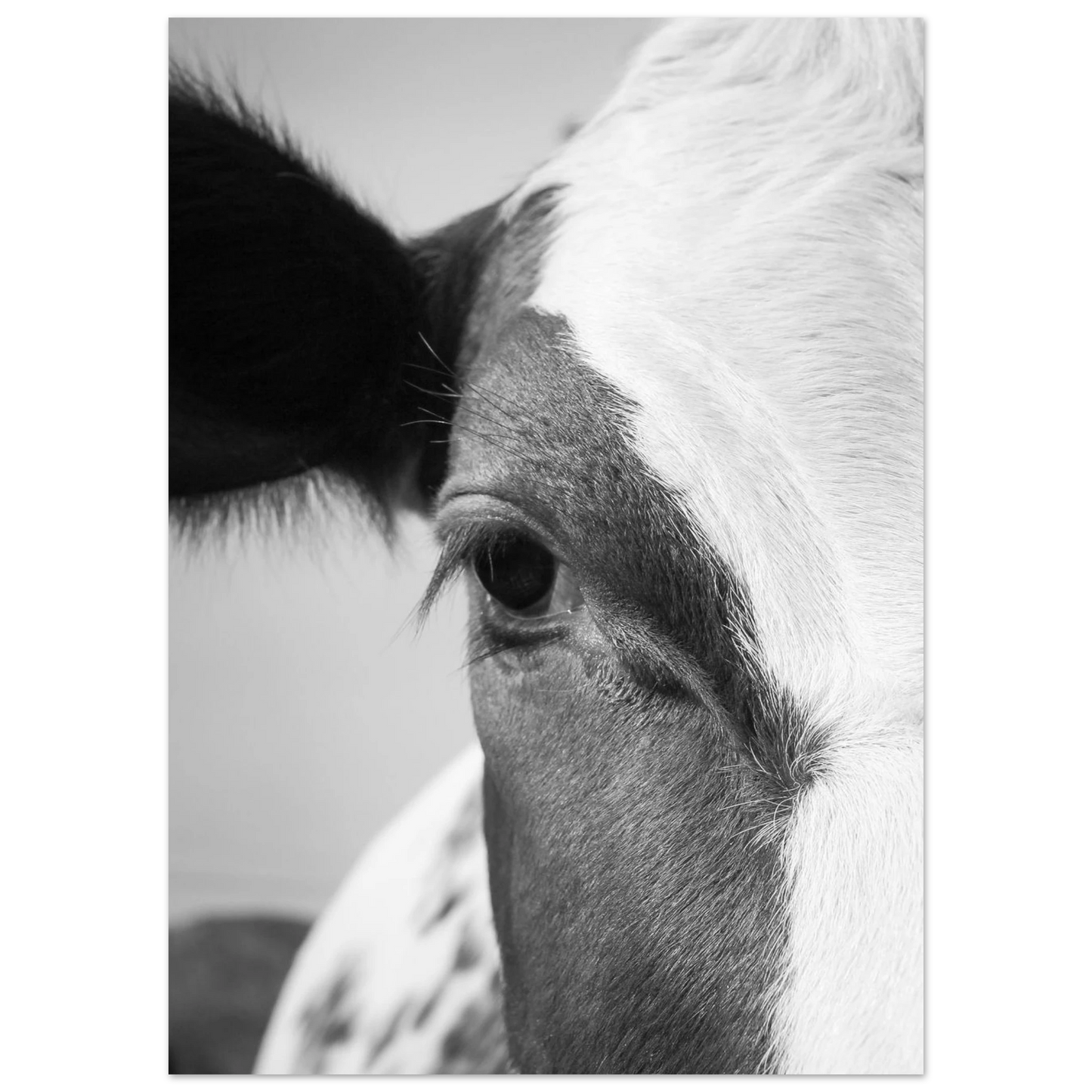 e4b3560b-d405-4d1c-b6df-b6403228c1ca