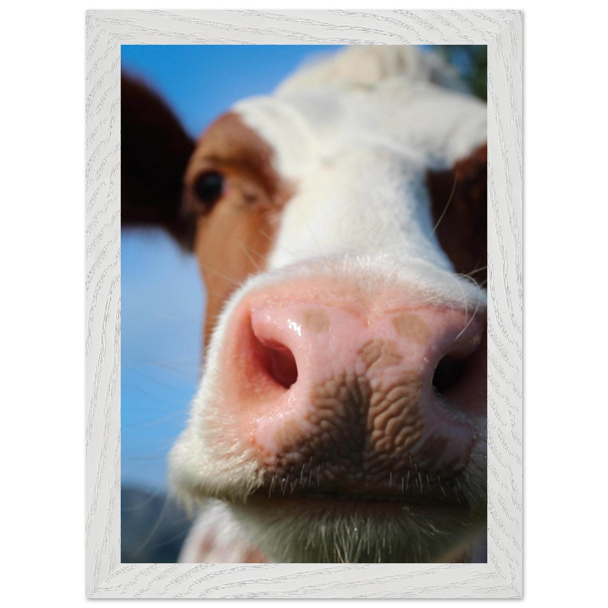 e4c3111d-3537-49dd-be0b-f3d5143e74a6