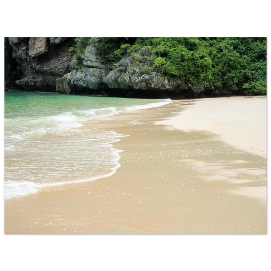 e58dda19-c8c7-4fb9-8463-2c577dfc0951