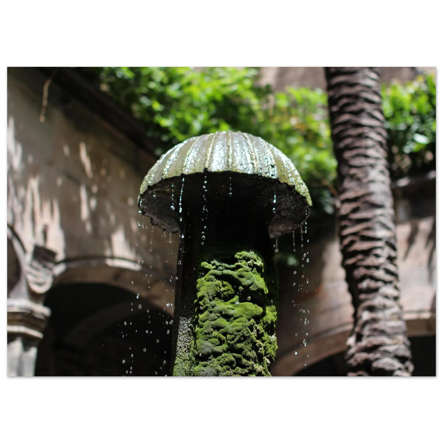 e7b614be-b6d8-4e9d-a09f-0ab19c42962d