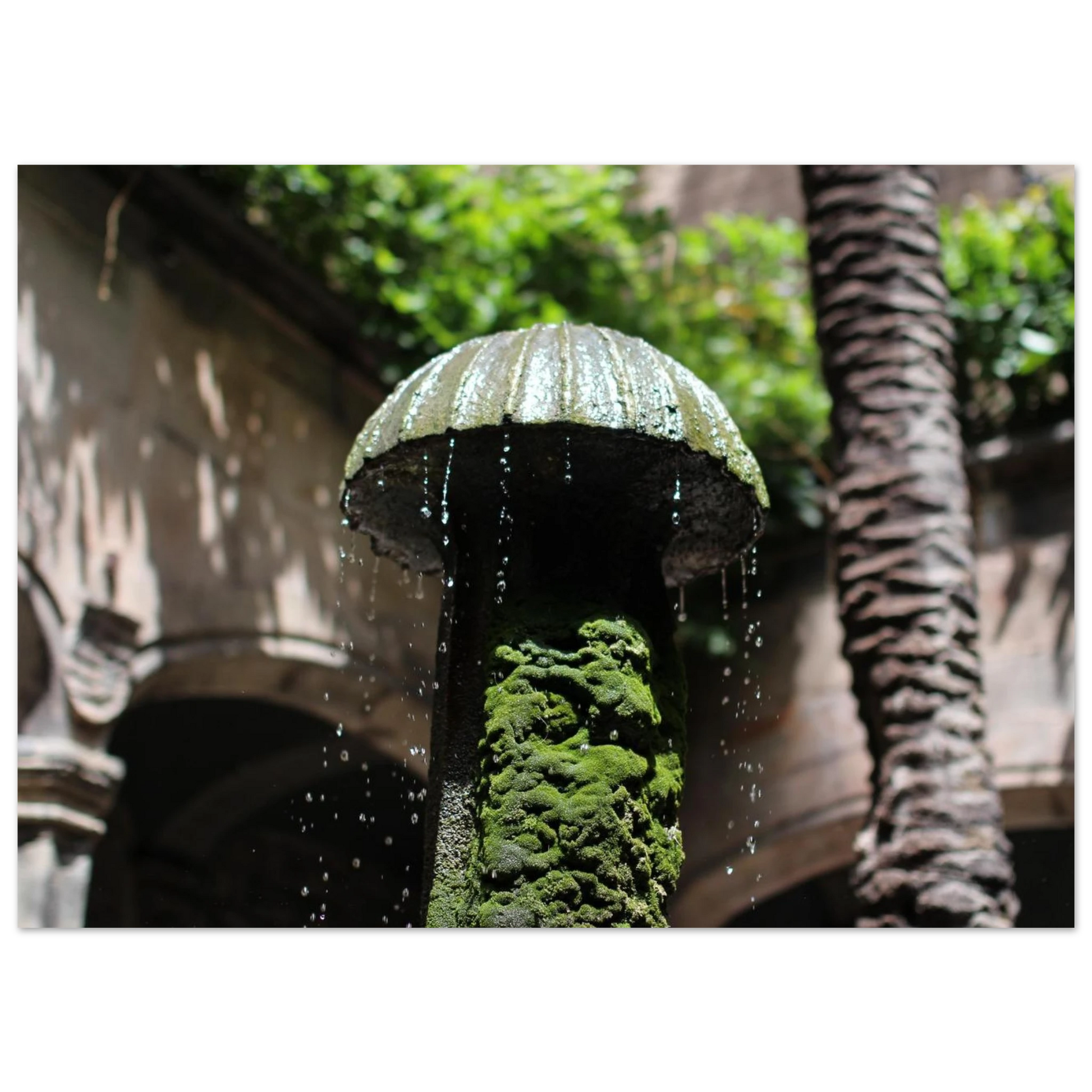 e7b614be-b6d8-4e9d-a09f-0ab19c42962d