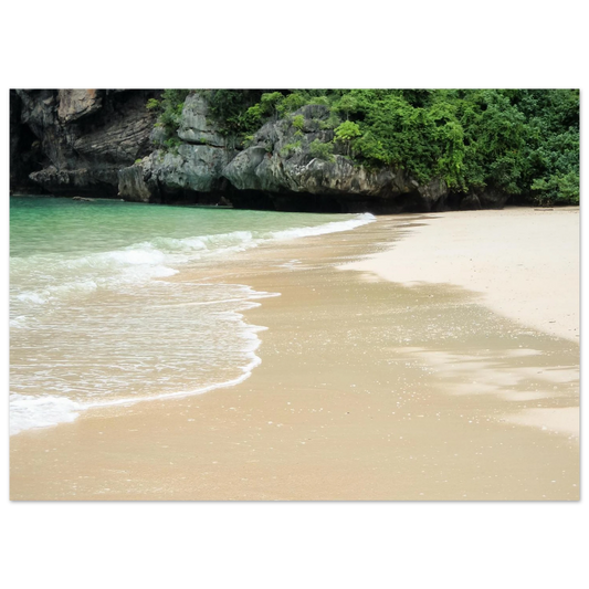 e82240e6-9c9f-4adc-8076-203cef02ccb6