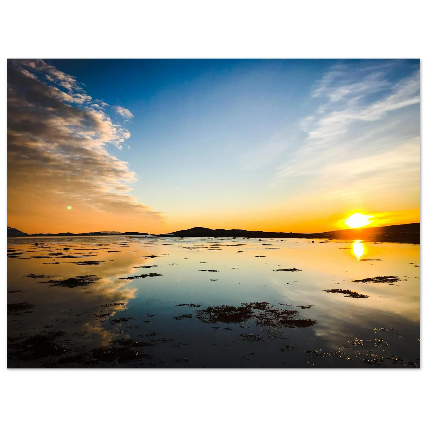 ea3463ca-e633-4ed3-b986-19956c9bd802