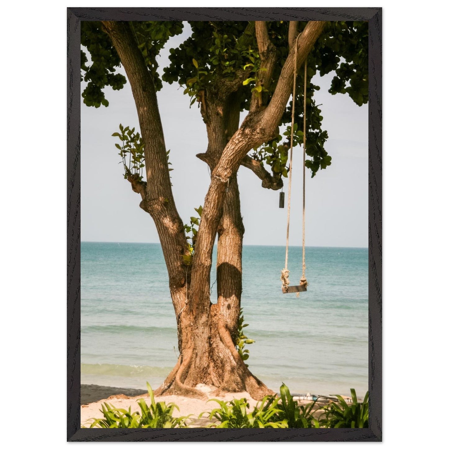 ed0eb4a9-db74-45ca-a547-04ad9694f21a