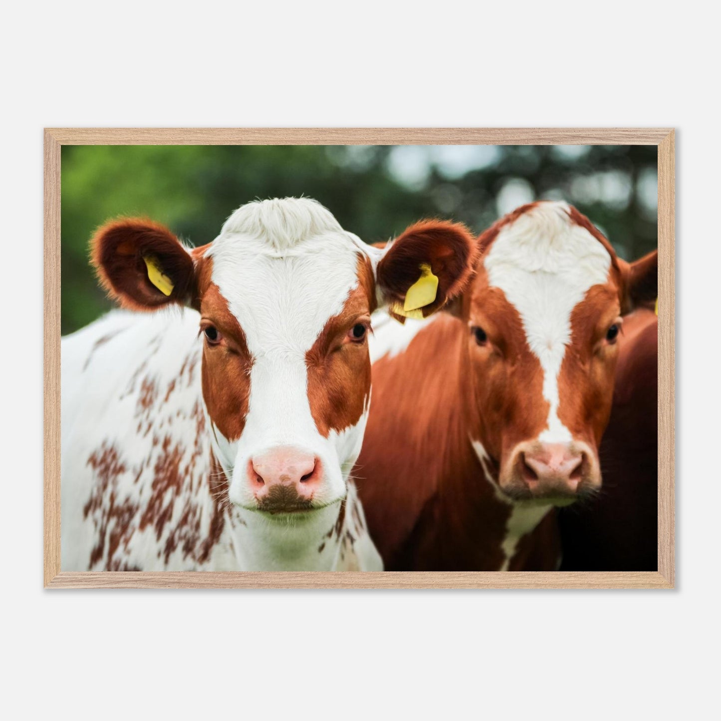 f097cd14-22f7-46a2-822a-317bbb96b4a3