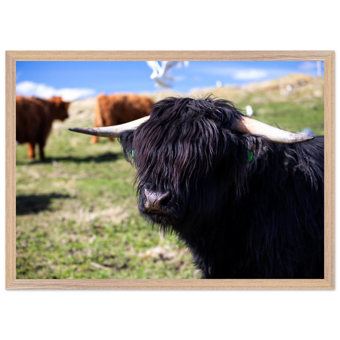 f19d6c6c-7359-4a6a-b78f-9e926985d7b6