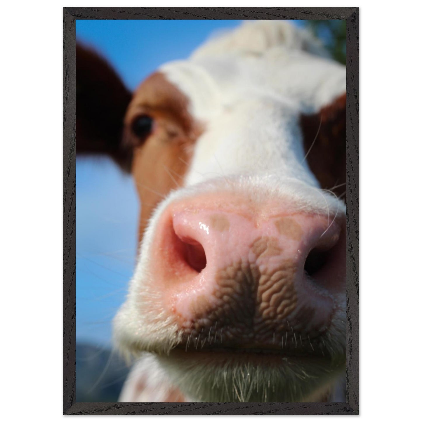 f23f3baf-5fee-4d5a-9df8-89d03b49e8e9