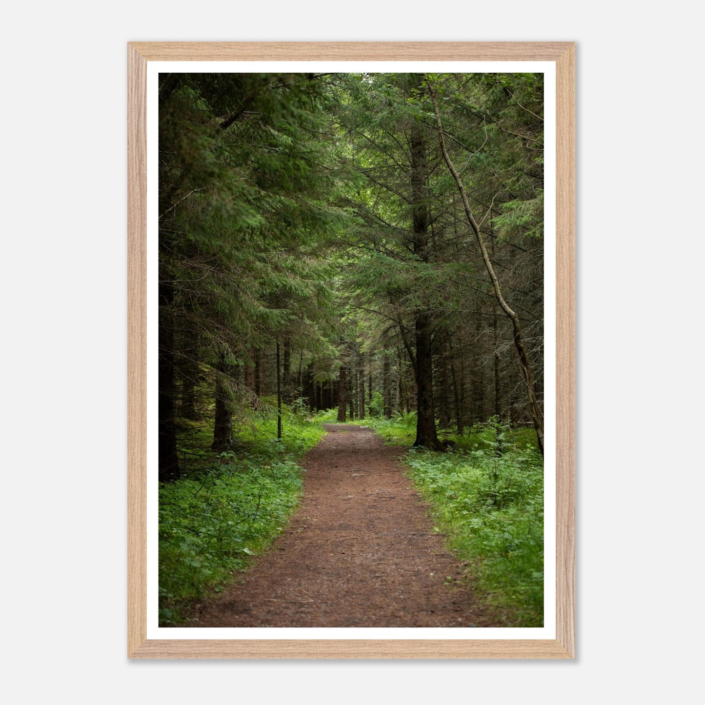 f327c4d8-7fba-4429-b022-243a2adc6436