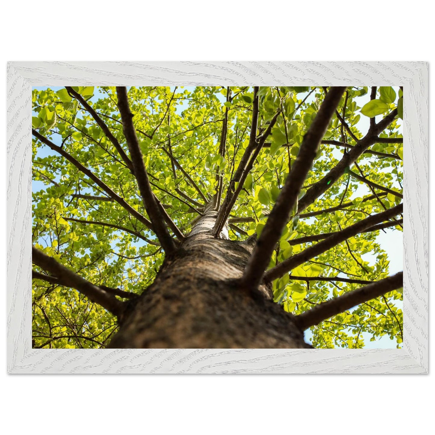 f5b02527-2681-4097-81f9-3484b74467c9