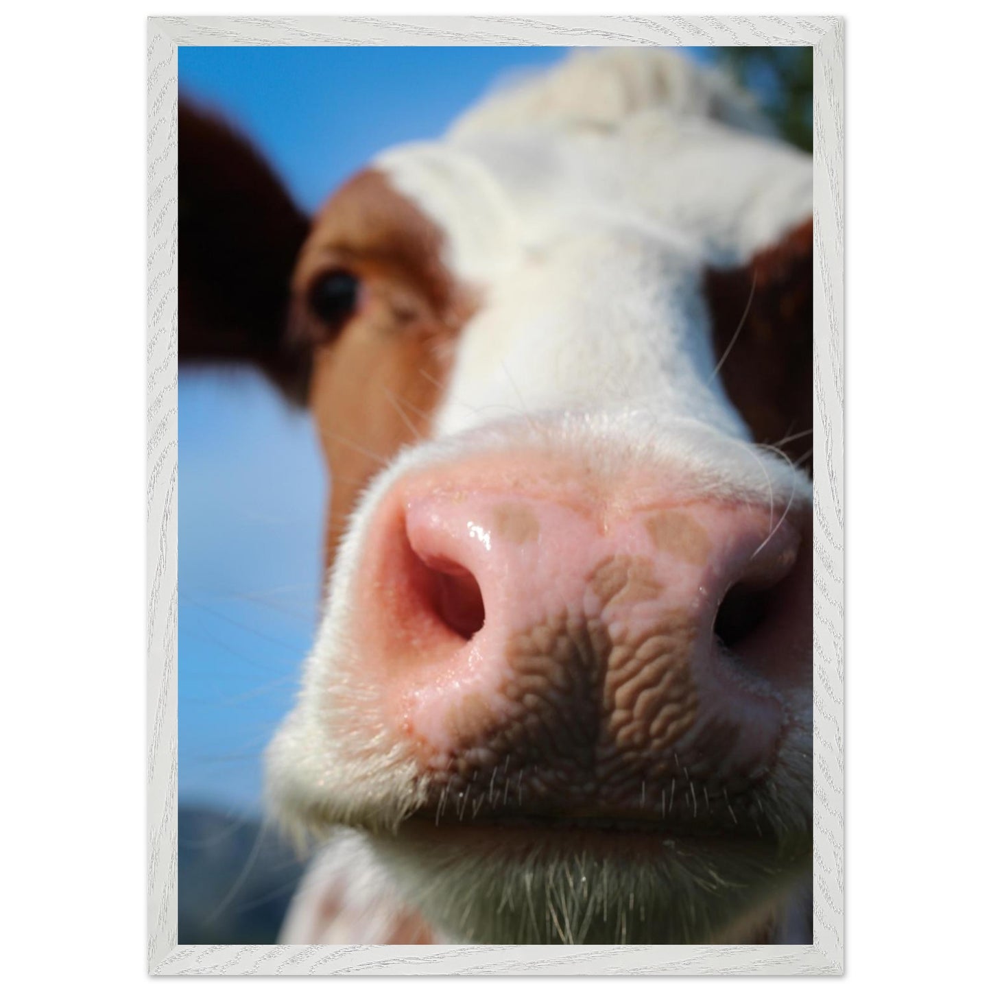 f6798a67-d954-4559-9411-2deefcee79d1