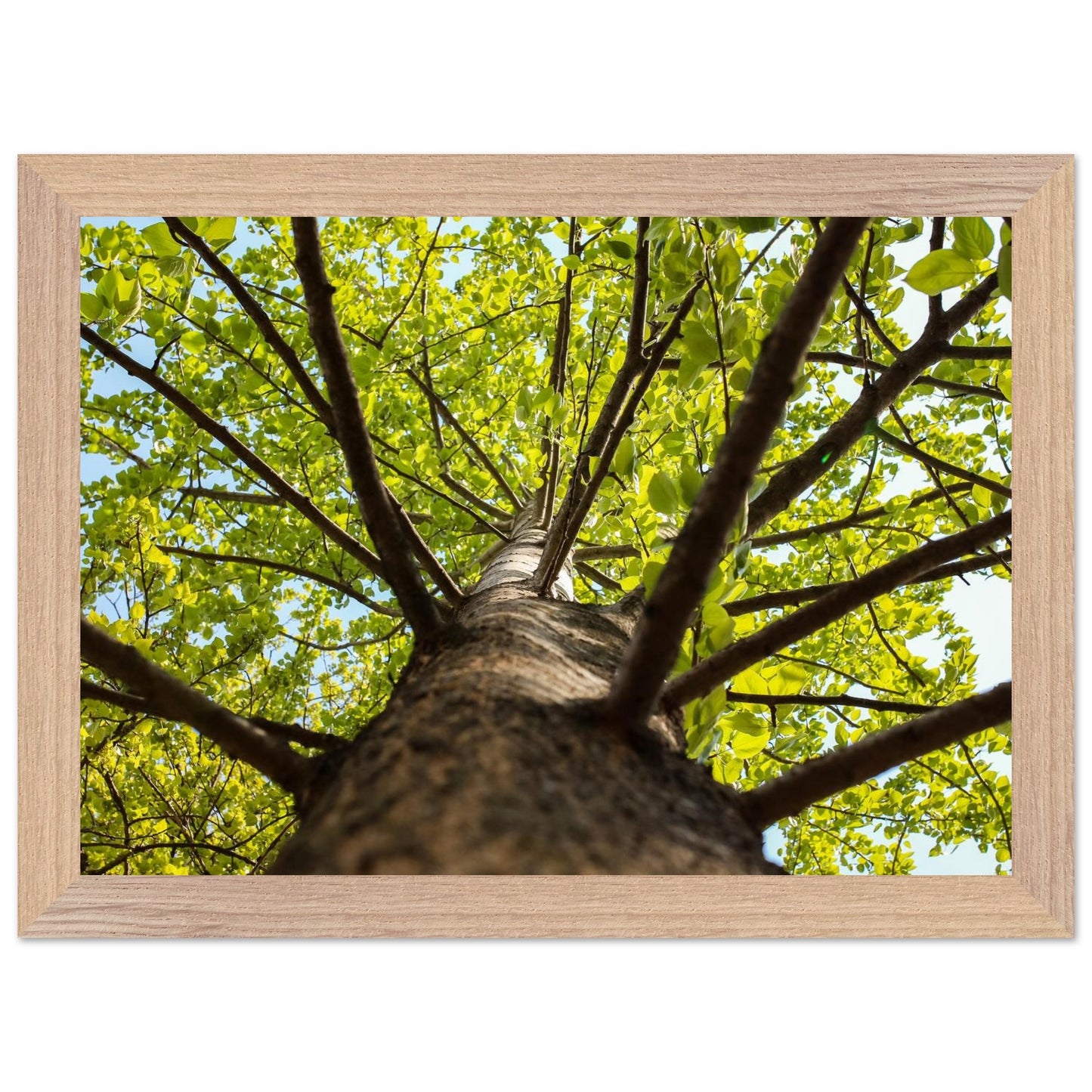 f737d24e-269c-4f5f-8571-6c4d9187bf97