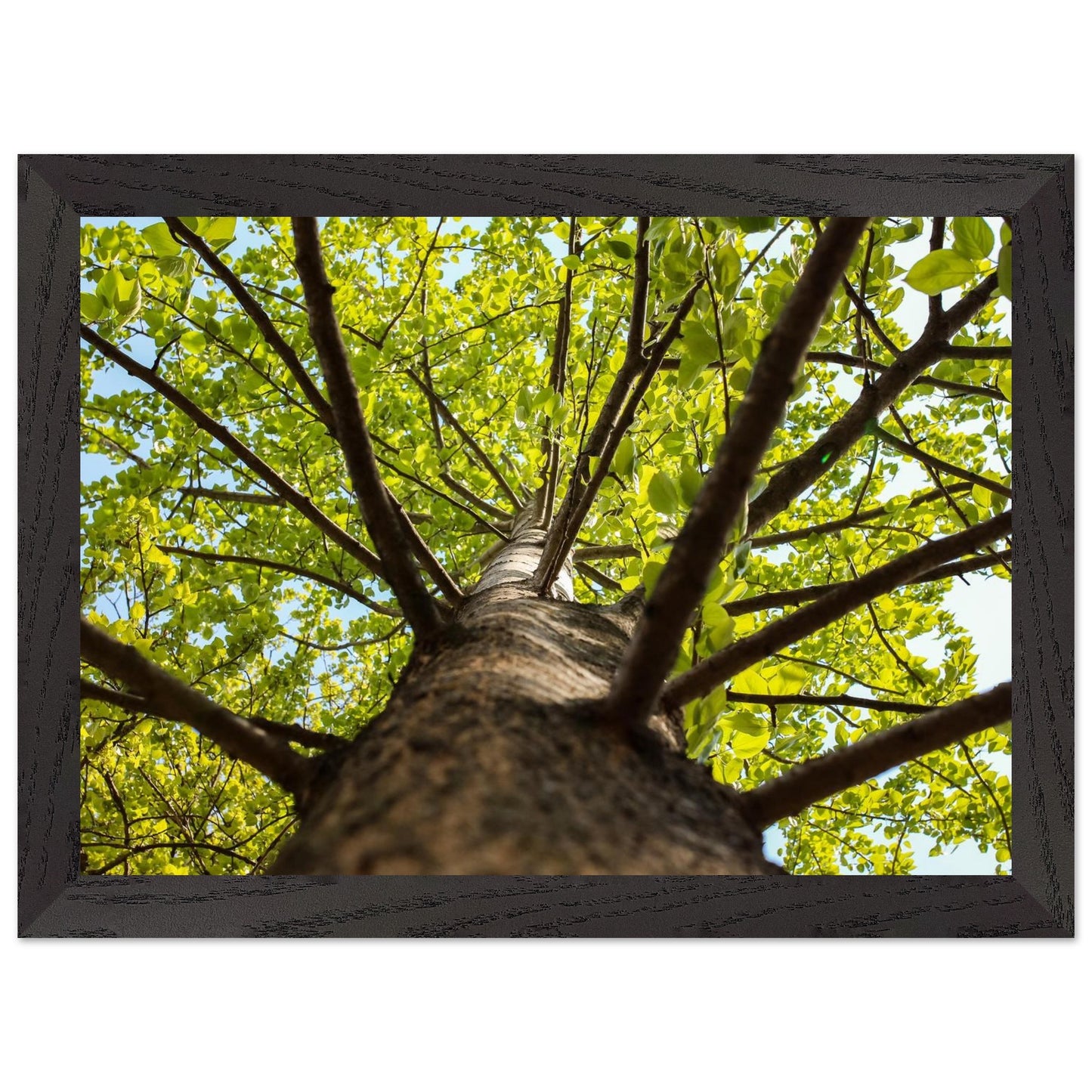 fa317550-7bf7-44af-8385-4c0deea02042