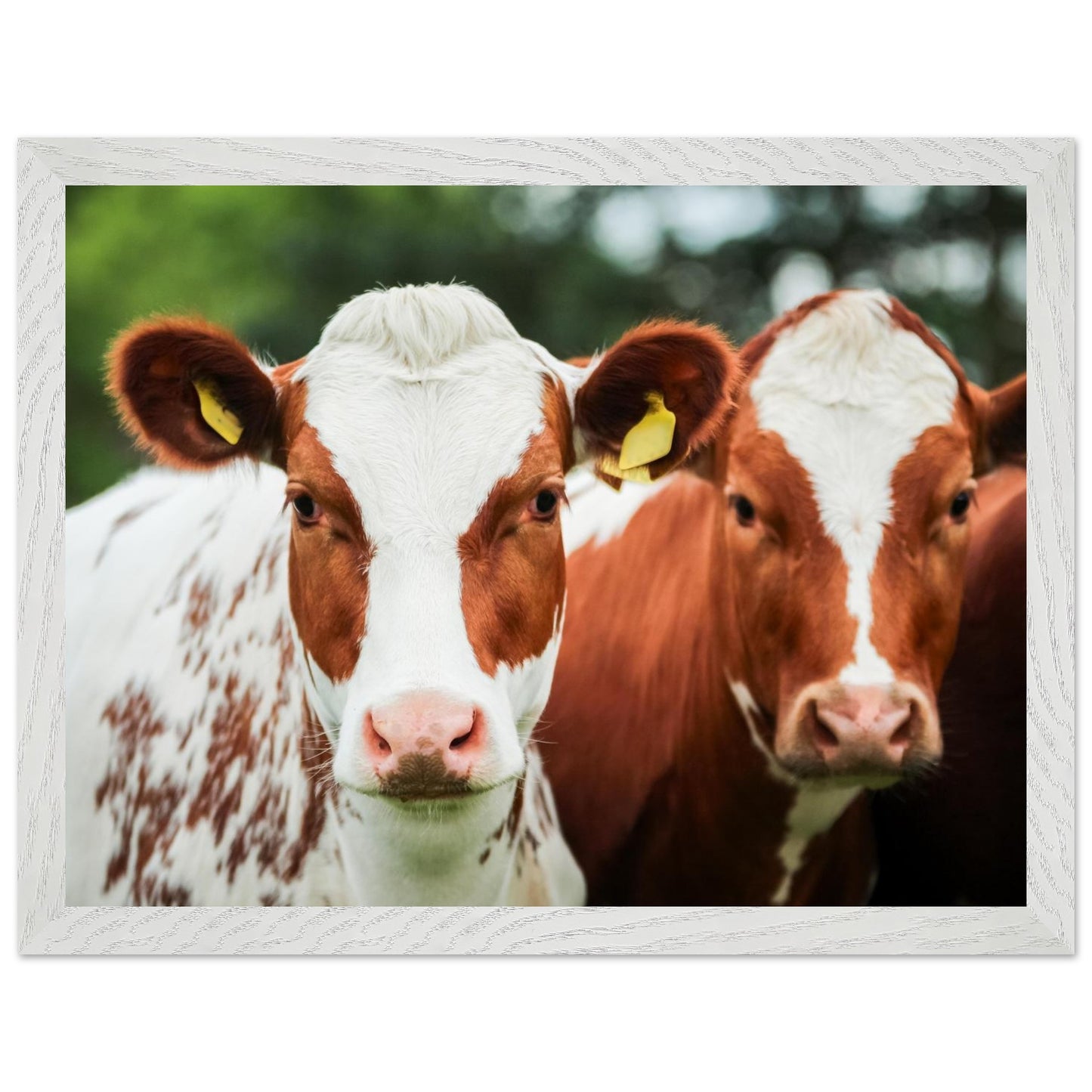 fc1f7d13-4a42-4d57-938d-2a29b1d85ac2