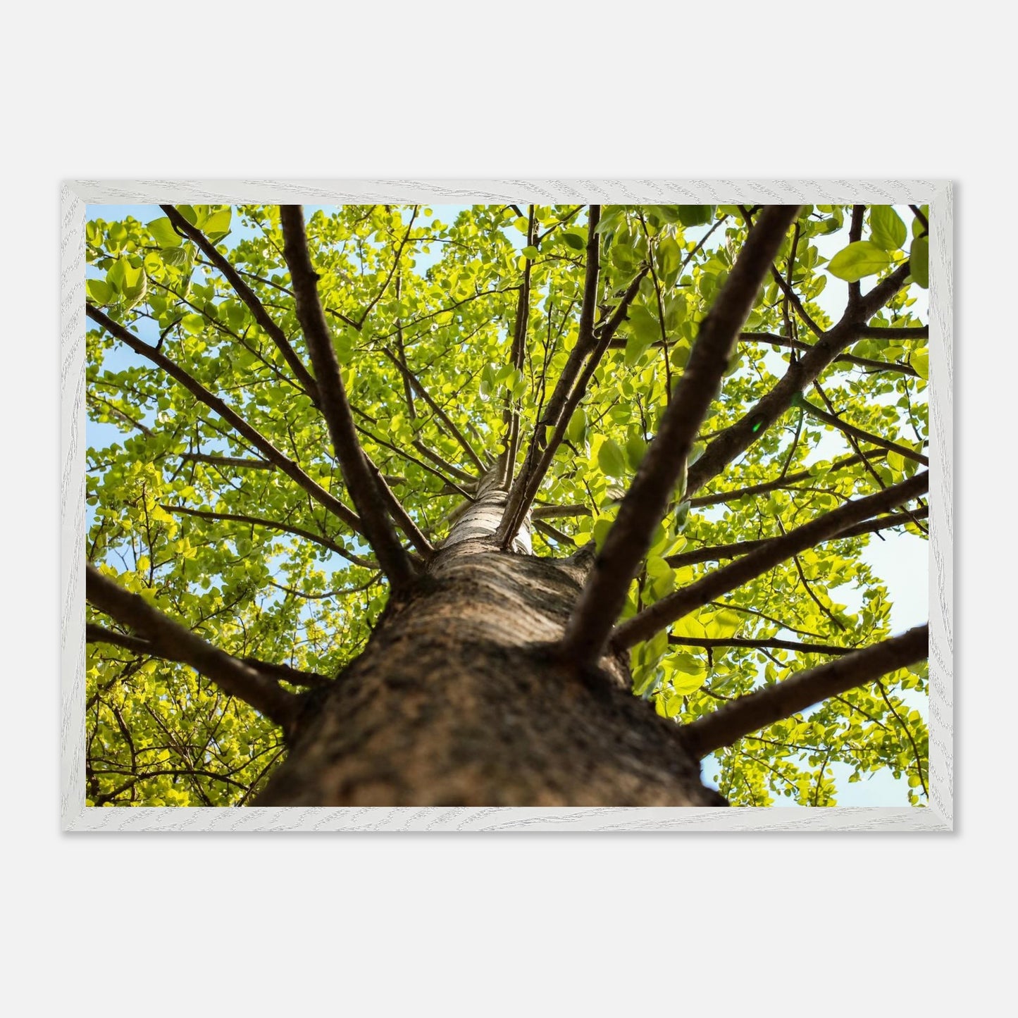 fd4b4b87-1d25-4748-b7f1-9425682c7876