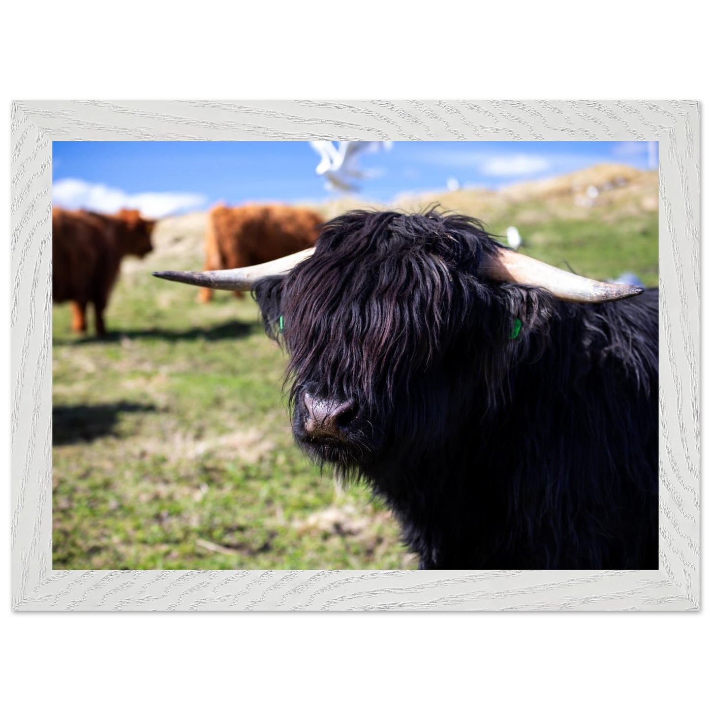 ff0b2528-39c7-4816-a2c8-ee56c1b7d2a4